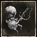 Vestige Seed